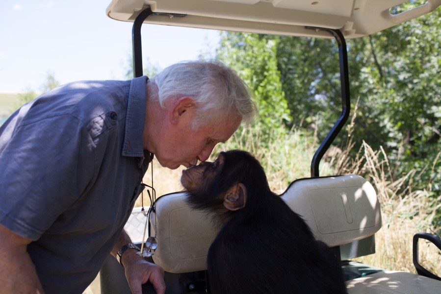 Vous croiserez peut-être le fondateur Pierre Thivillon et sa petite protégée Tahise, un chimpanzé.