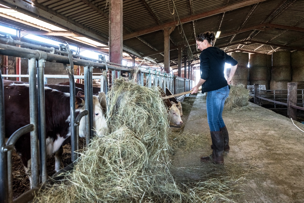 Le Département débloque 400 000 ¬ pour les agriculteurs