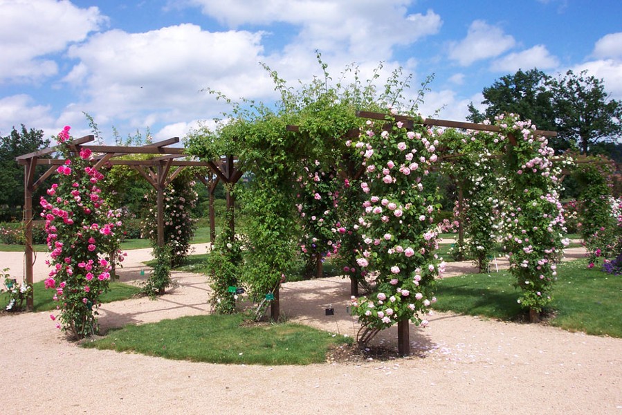 8 / Ville fleurie, Saint-Galmier est classée 4 fleurs depuis 1999. Son parc aux arbres centenaires, sa roseraie créée au passage du troisième millénaire créent un espace de beauté pour une promenade parfumée.
