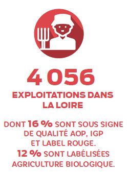 4056 exploitations dans la Loire dont 16% sont sous signe de qualité AOP, IGP et label rouge. 12% sont labelisées agriculture biologique.