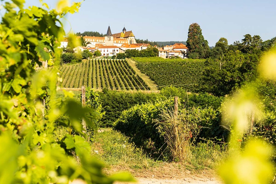 Le Domaine des Palais à Ambierle.