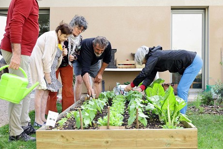 Habitat inclusif La Fourmille à Montbrison