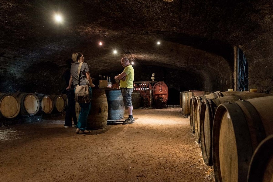 On déguste les vins du domaine au sein d&#39;une belle cave. Tout concourt à l&#39;&#34;expérience&#34;.